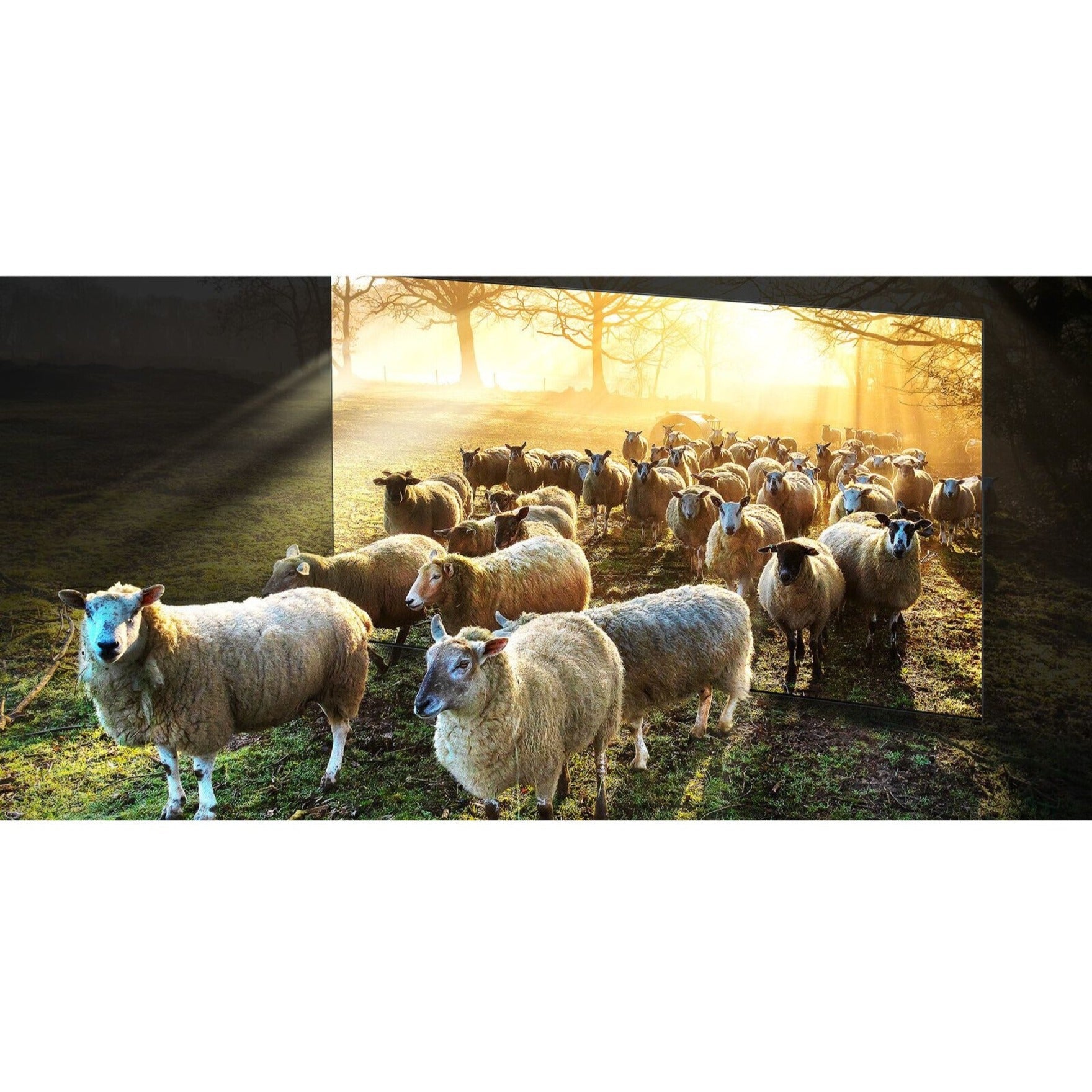 Samsung QN900C 75" Neo QLED 8K Smart TV, Neural Quantum Processor, Dolby Atmos, 120Hz Refresh, Anti-Glare Screen, One Connect Box, Gaming Hub, Voice Assistant - QN75QN900CFXZA (1 Year Warranty)