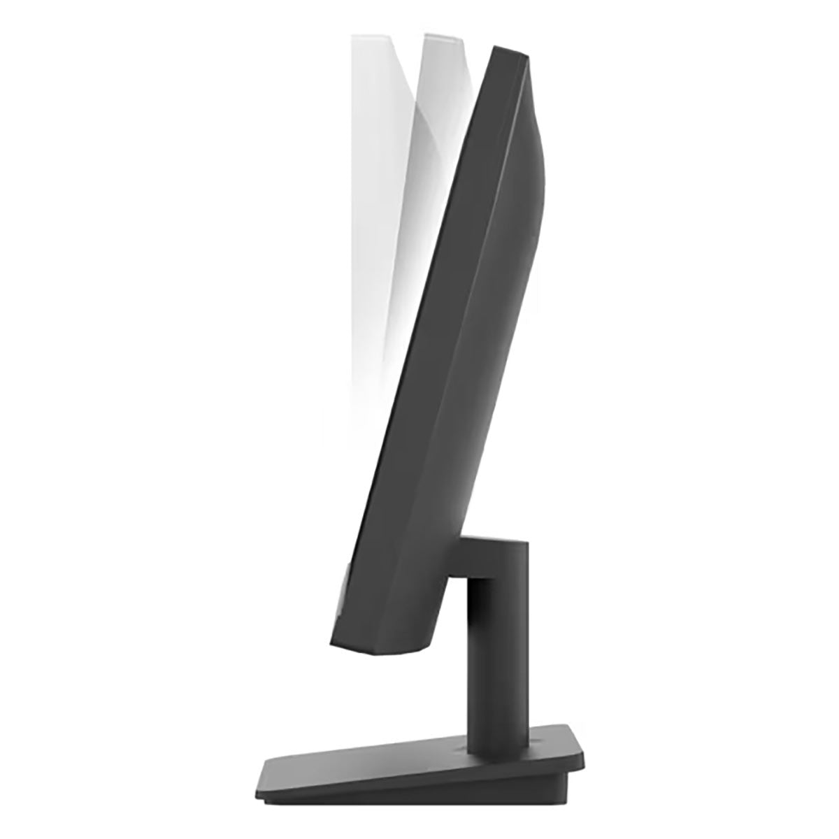 LG 24" IPS Full HD 100Hz Borderless Design Monitor