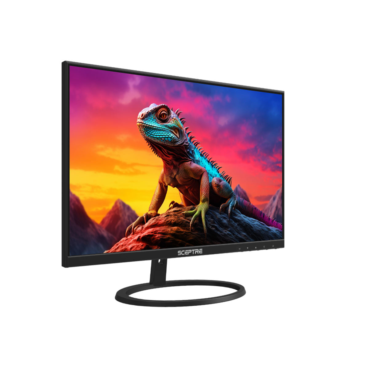 SCEPTRE 27" Quad HD IPS LED Monitor